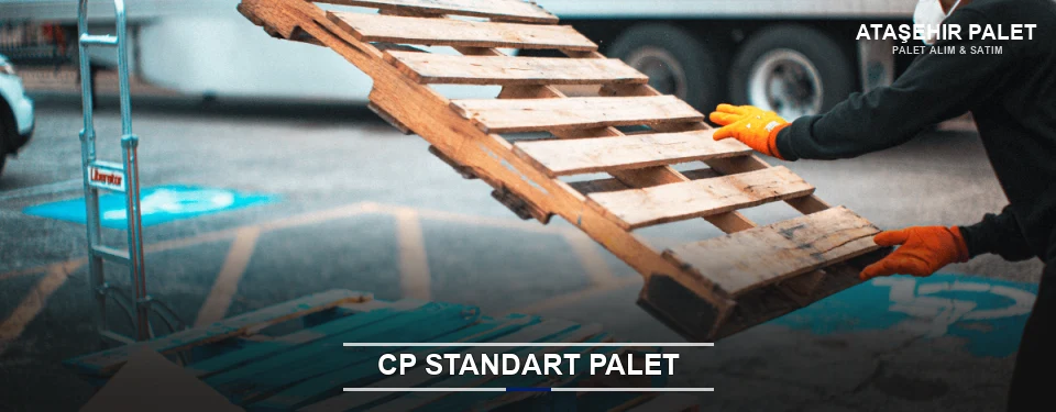 Ataşehir CP Palet Çözümleri